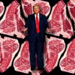 Donald Trump is not God for Your Nutrition