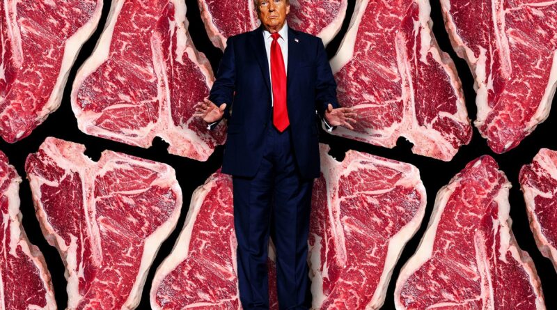 Donald Trump is not God for Your Nutrition