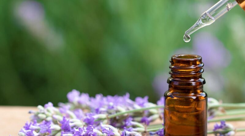 Lavender essential oil in a bottle with a dropper